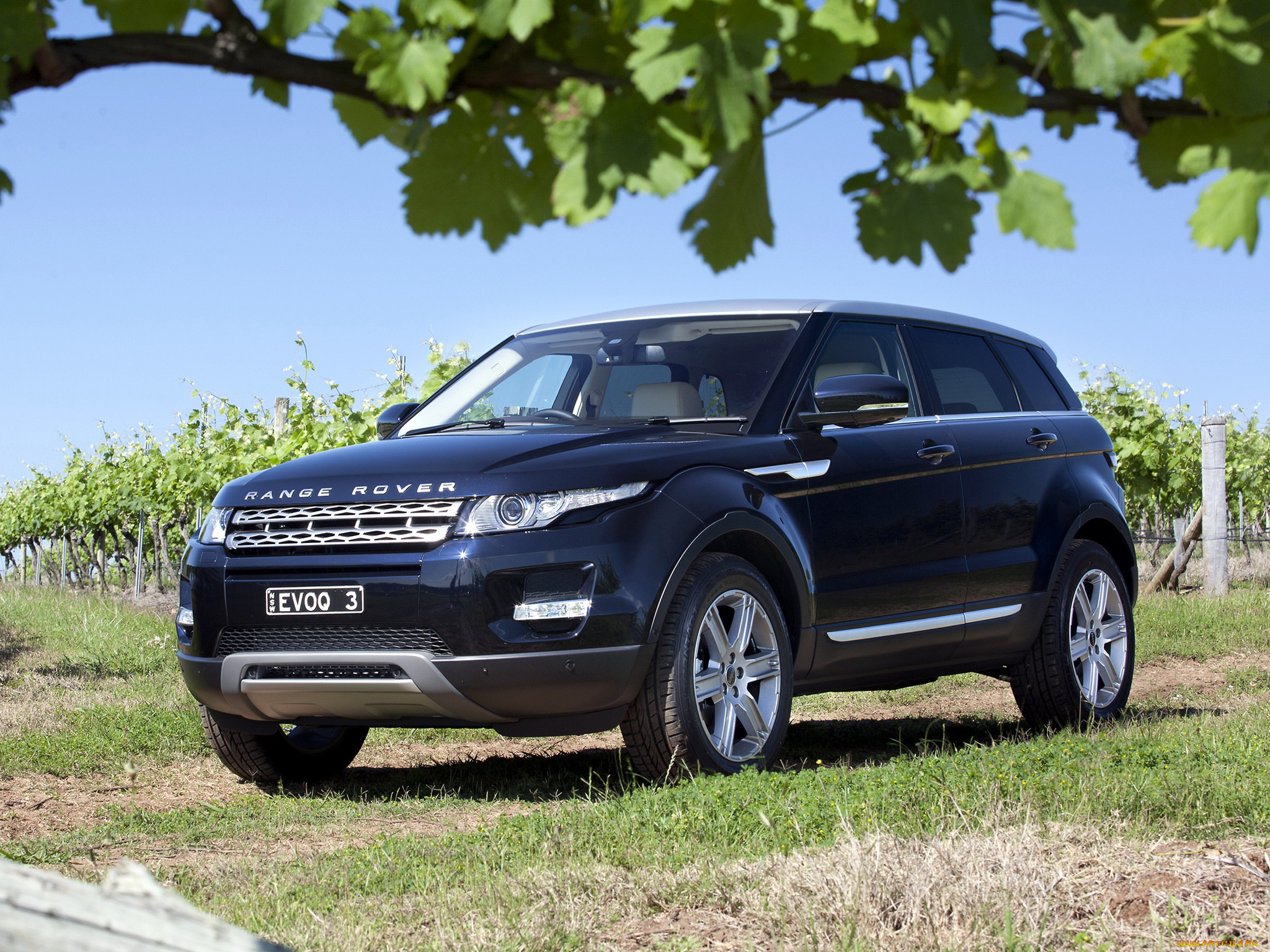 , land, rover
